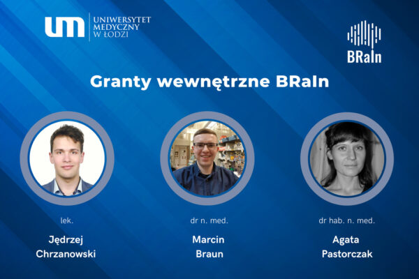 Podsumowanie II edycji Grantów Wewnętrznych BRaIn