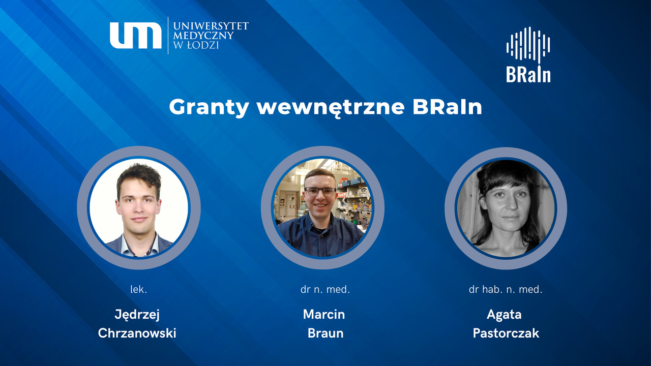 Podsumowanie II edycji Grantów Wewnętrznych BRaIn