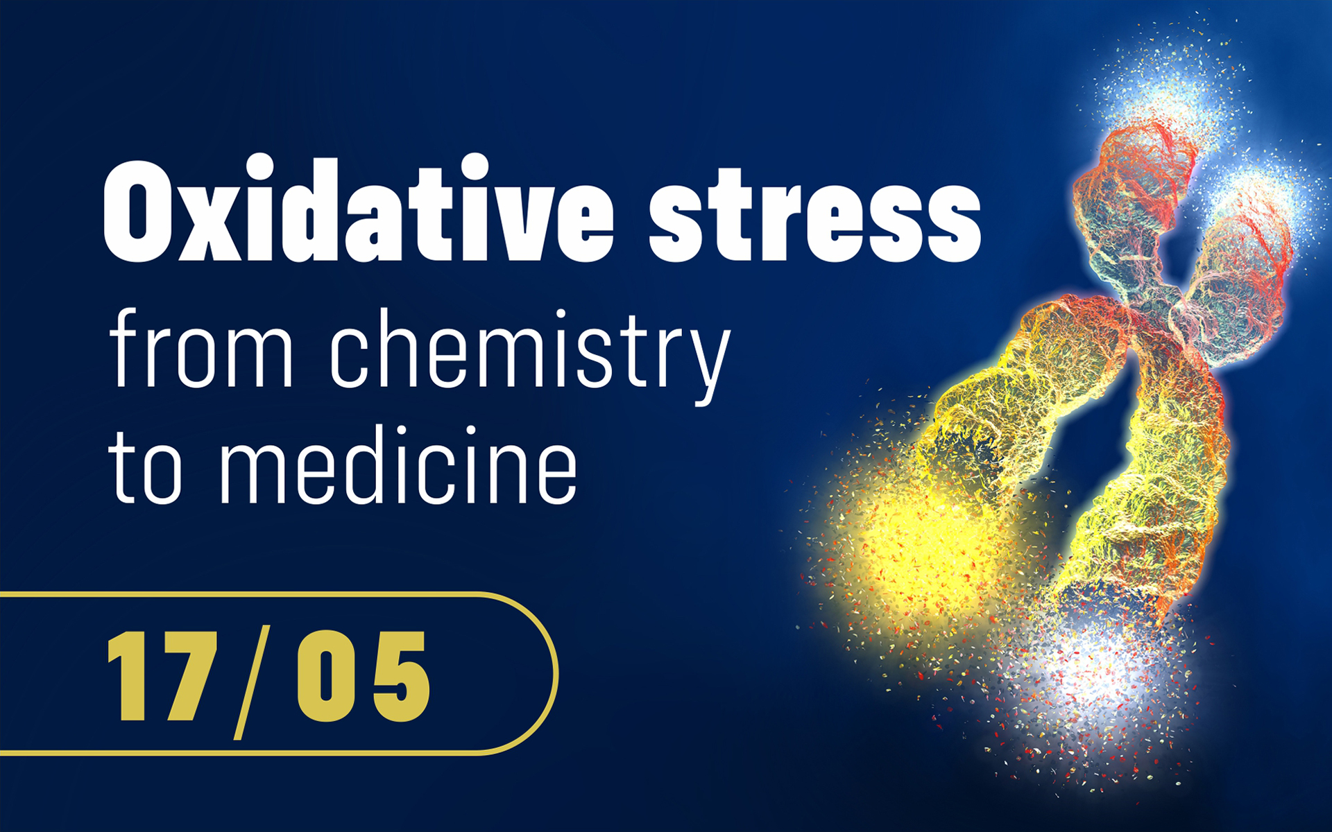 UMED organizatorem seminarium naukowego „Oxidative stress - from chemistry to medicine”