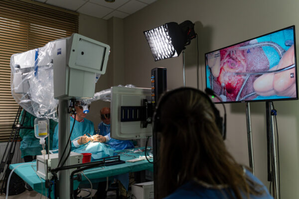 XXI Międzynarodowa Konferencja Sekcji Onkologicznej PTORL–ChGiSz „Onkologia Głowy i Szyi 2025. Postępy w otolaryngologii” 5