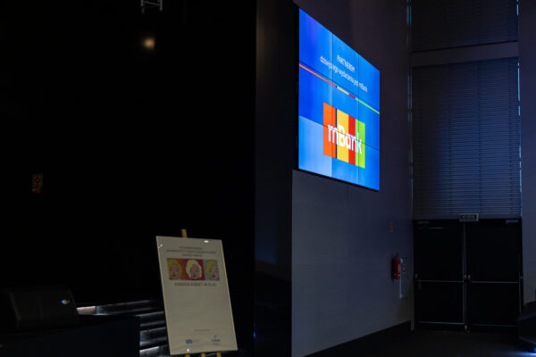 Mój boski rozwód 2