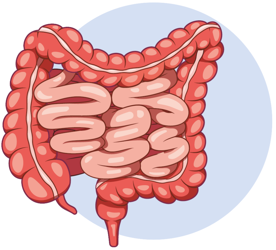 Projekt bez nazwy Projekt bez nazwy