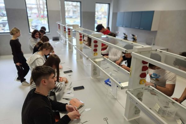 066a578c-a867-4d49-87e1-7d2d31a6532e