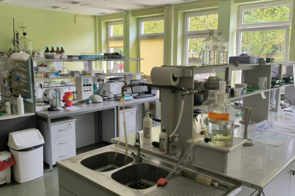 UMED_kwadrat_post — kopia (1)