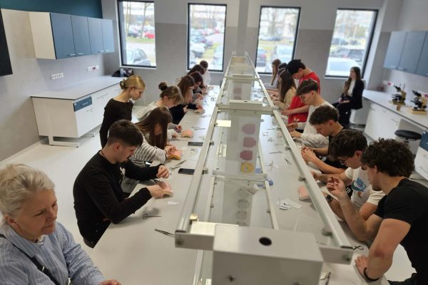 e17a7f4a-737c-4de1-82d0-8ff832651de2