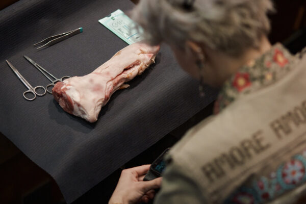 Warsztaty z szycia 5