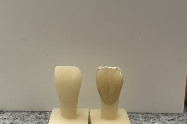 III Ogólnopolska Konferencja Naukowa Studentów Technik Dentystycznych zdj20