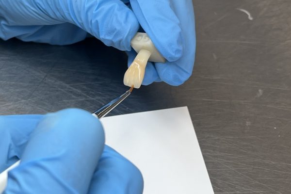 III Ogólnopolska Konferencja Naukowa Studentów Technik Dentystycznych zdj21