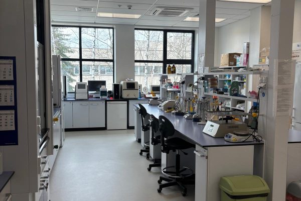 Doradcy zawodowi z Irlandii odwiedzili w Uniwersytecie Medycznym w Łodzi 4